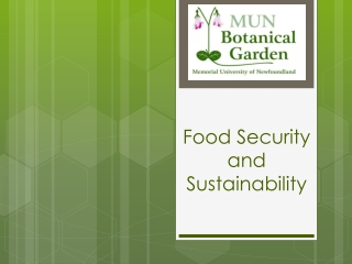 Food Security and Sustainability