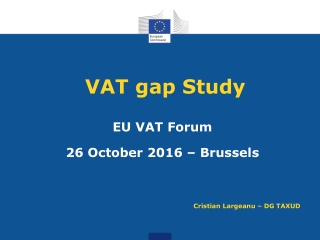 VAT gap Study