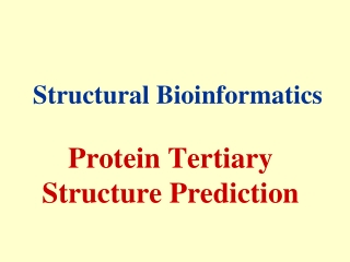 Protein Tertiary Structure Prediction