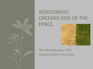 Assessment: Greener side of the fence