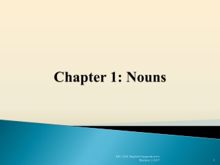 Chapter 1: Nouns