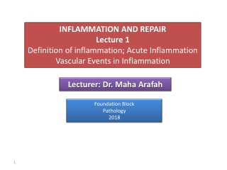 L ecturer: Dr. Maha Arafah