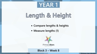 Length &amp; Height