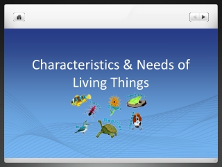 Characteristics &amp; Needs of Living Things