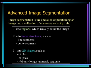 Advanced Image Segmentation