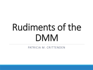 Rudiments of the DMM