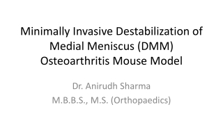 Minimally Invasive Destabilization of M edial Meniscus (DMM ) Osteoarthritis Mouse Model