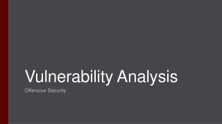 Vulnerability Analysis