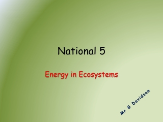 National 5