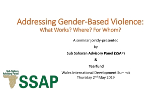 Addressing Addressing Gender-Based Violence: What Works? Where? For Whom?