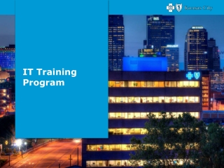 IT Training Program