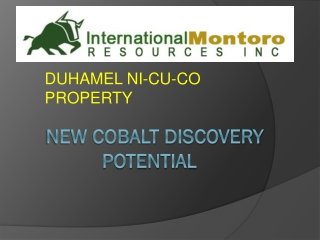 NEW COBALT DISCOVERy potential