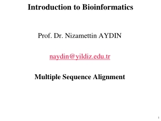 Introduction to Bioinformatics