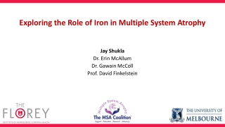 Exploring the Role of Iron in Multiple System Atrophy