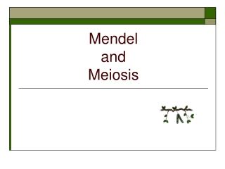 Mendel and Meiosis