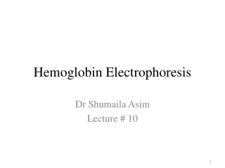 Hemoglobin Electrophoresis