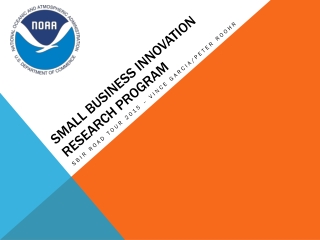 Small business innovation research program