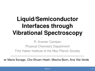 Liquid/Semiconductor Interfaces through Vibrational Spectroscopy