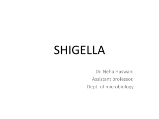 SHIGELLA