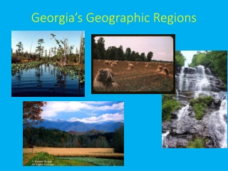 Georgia’s Geographic Regions