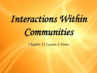 Interactions Within Communities