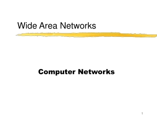 Wide Area Networks