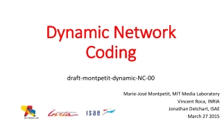 Dynamic Network Coding