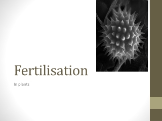 Fertilisation