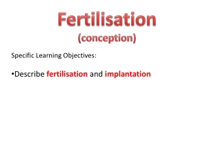 Fertilisation (conception)