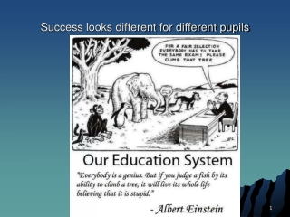 Success looks different for different pupils