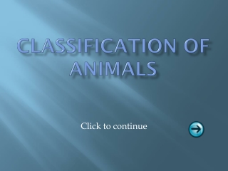 Classification of Animals