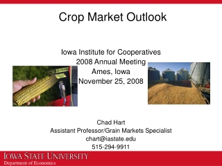 Crop Market Outlook