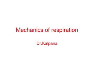 Mechanics of respiration