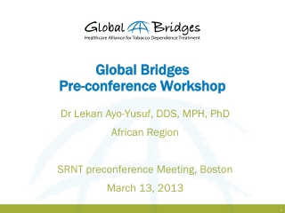 Global Bridges Pre-conference Workshop