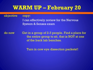 WARM UP – February 20