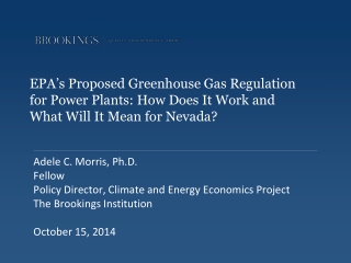 Adele C. Morris, Ph.D. Fellow Policy Director, Climate and Energy Economics Project