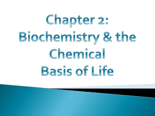 Chapter 2: Biochemistry &amp; the Chemical Basis of Life