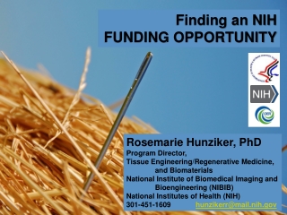 Rosemarie Hunziker, PhD Program Director, Tissue Engineering/Regenerative Medicine,