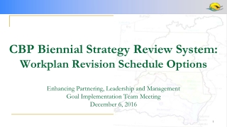 CBP Biennial Strategy Review System: