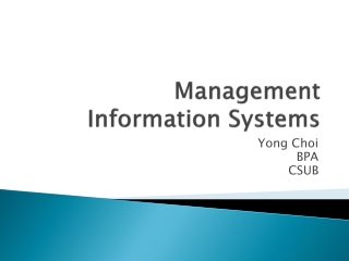 Management Information Systems