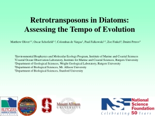 Retrotransposons in Diatoms: Assessing the Tempo of Evolution