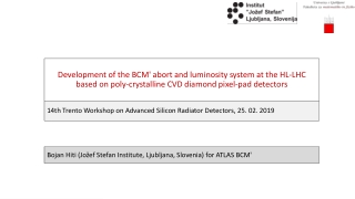 14th Trento Workshop on Advanced Silicon Radiator Detectors , 25. 02. 2019