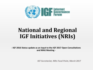 National and Regional IGF Initiatives (NRIs)