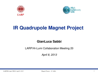 IR Quadrupole Magnet Project