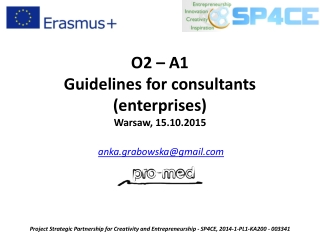 O2 – A1 Guidelines for consultants (enterprises) Warsaw, 15.10.2015