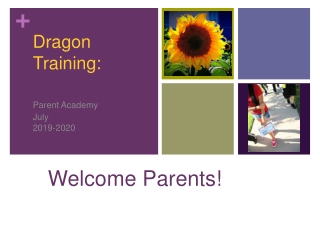 Dragon Training: