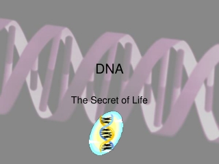 DNA