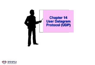 Chapter 14 User Datagram Protocol (UDP)