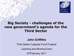 Big Society - challenges of the new government s agenda for the Third Sector