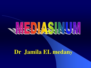 MEDIASINUM